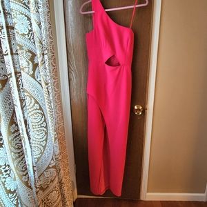 Hot Pink BCBG Dress